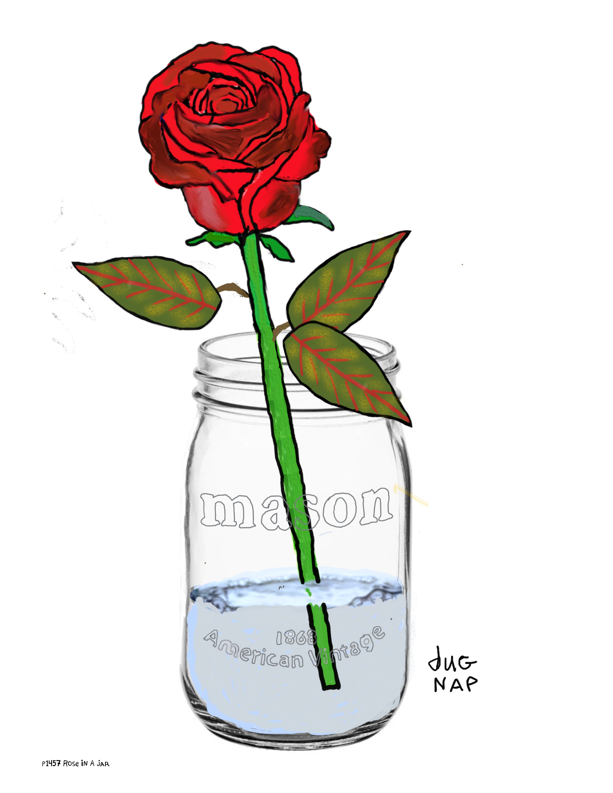 p1457 Rose In A Jar