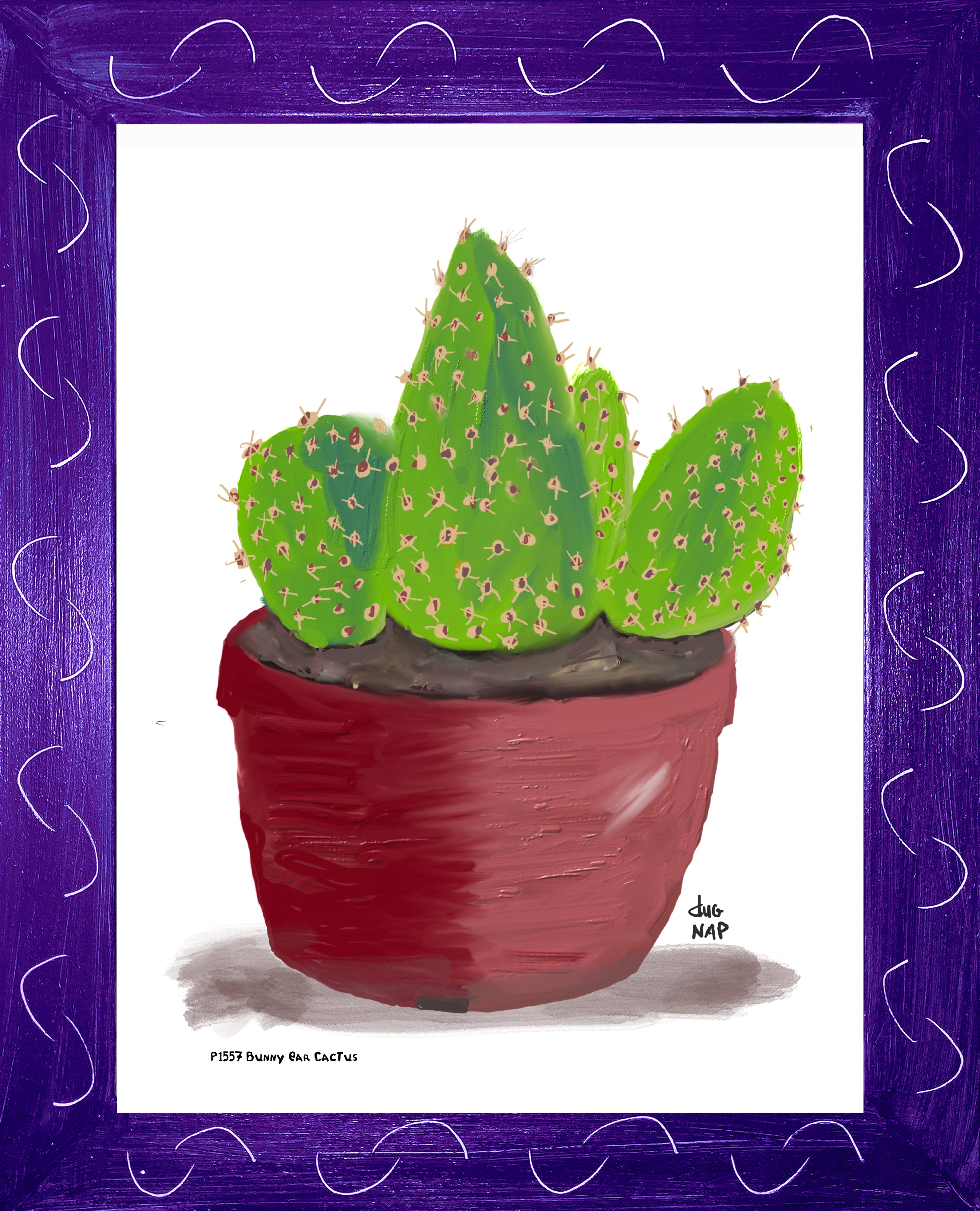 P1557 Bunny Ear Cactus