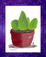 P1557 Bunny Ear Cactus