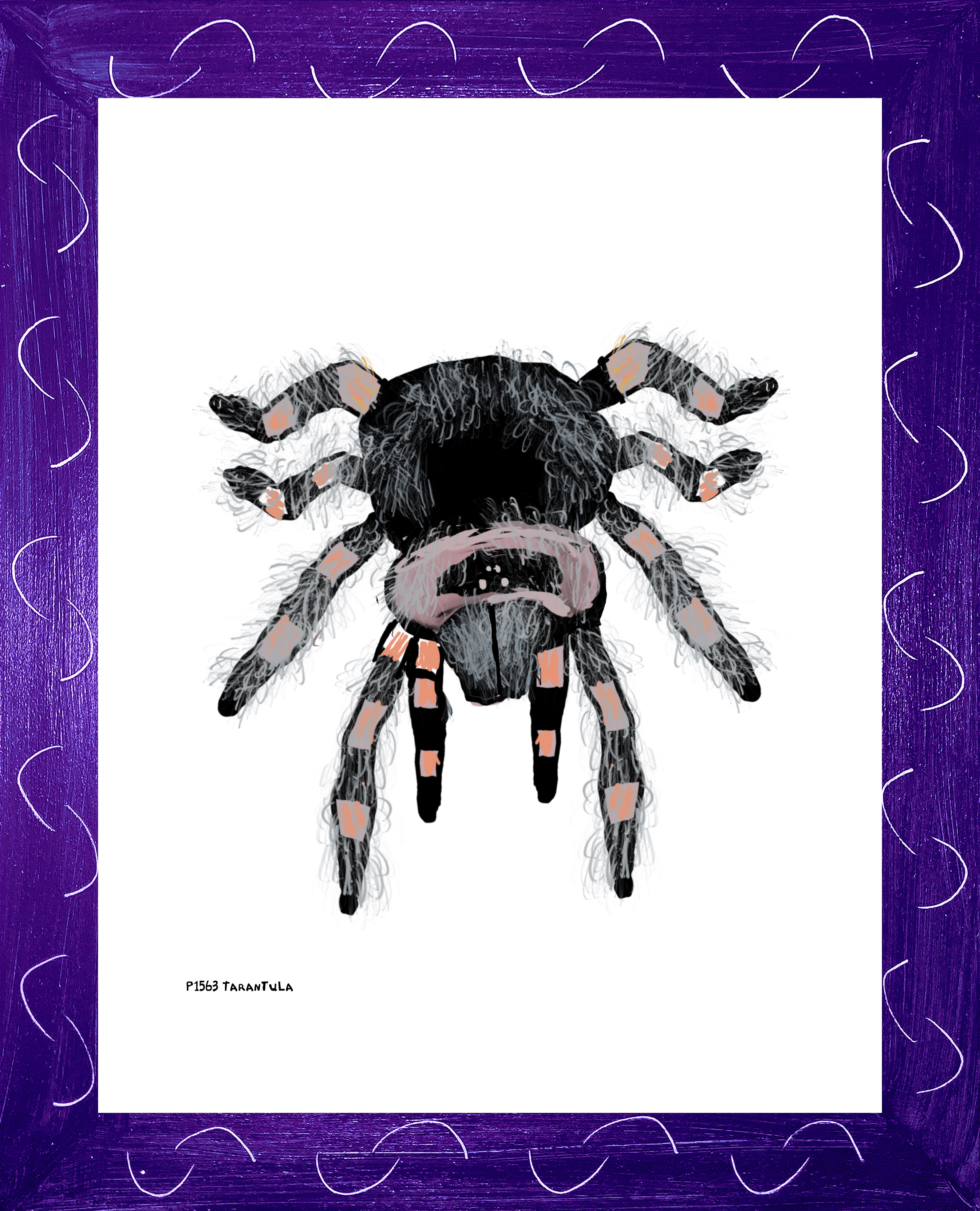 P1563 Tarantula