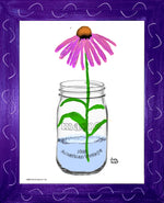 p1458 Coneflower In A Jar