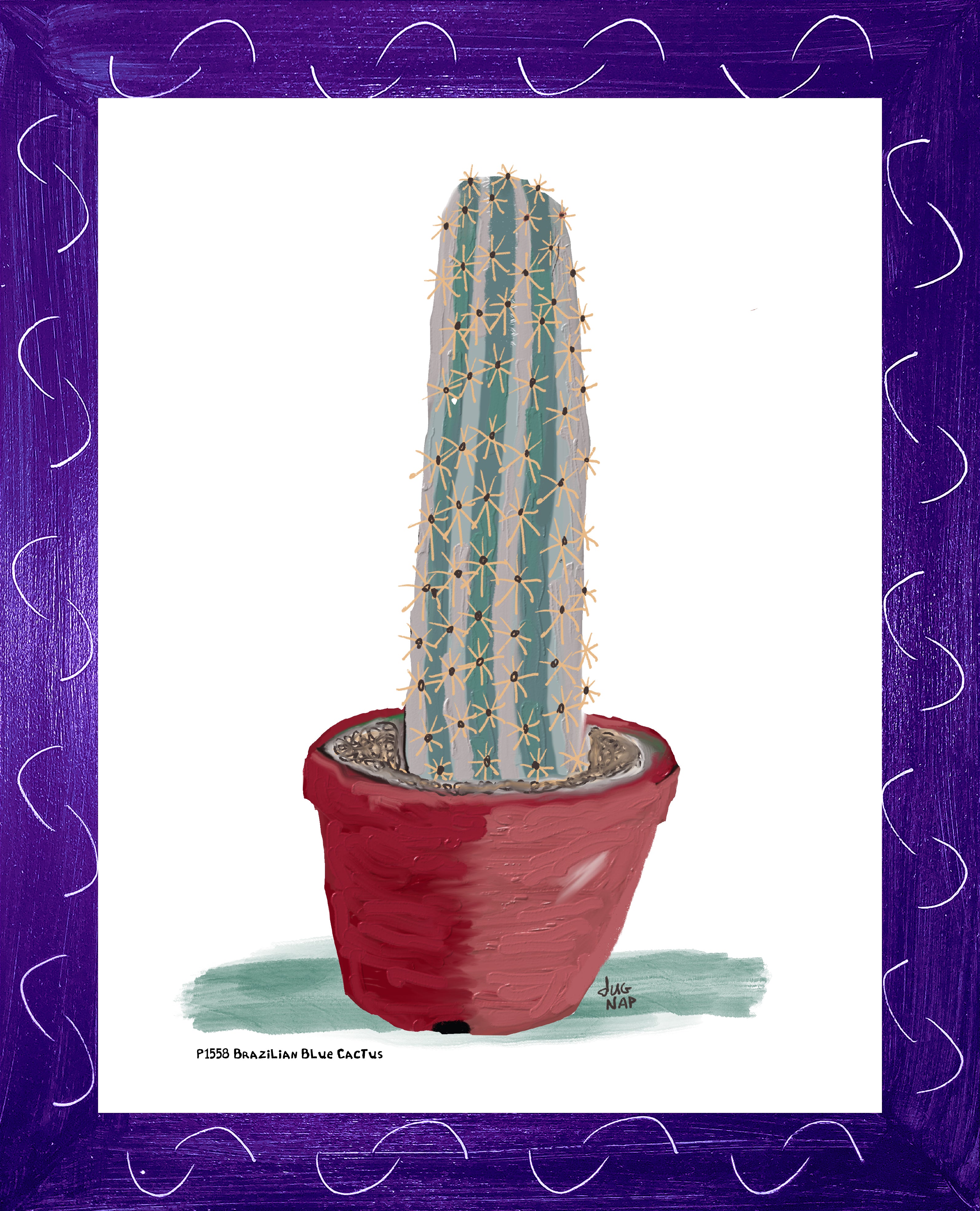 P1558 Brazilian Blue Cactus