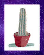 P1558 Brazilian Blue Cactus