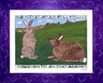 p611 Rabbits