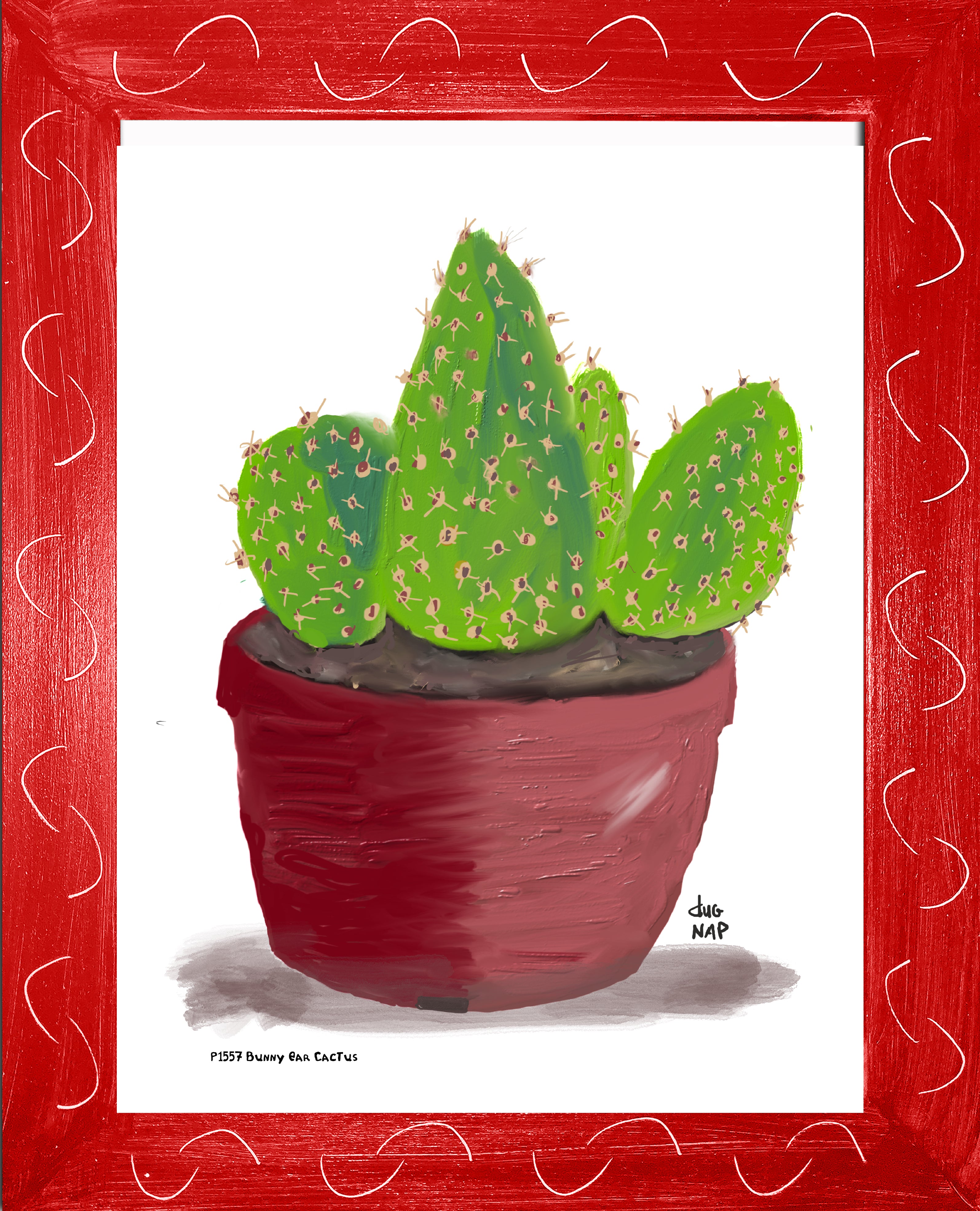 P1557 Bunny Ear Cactus
