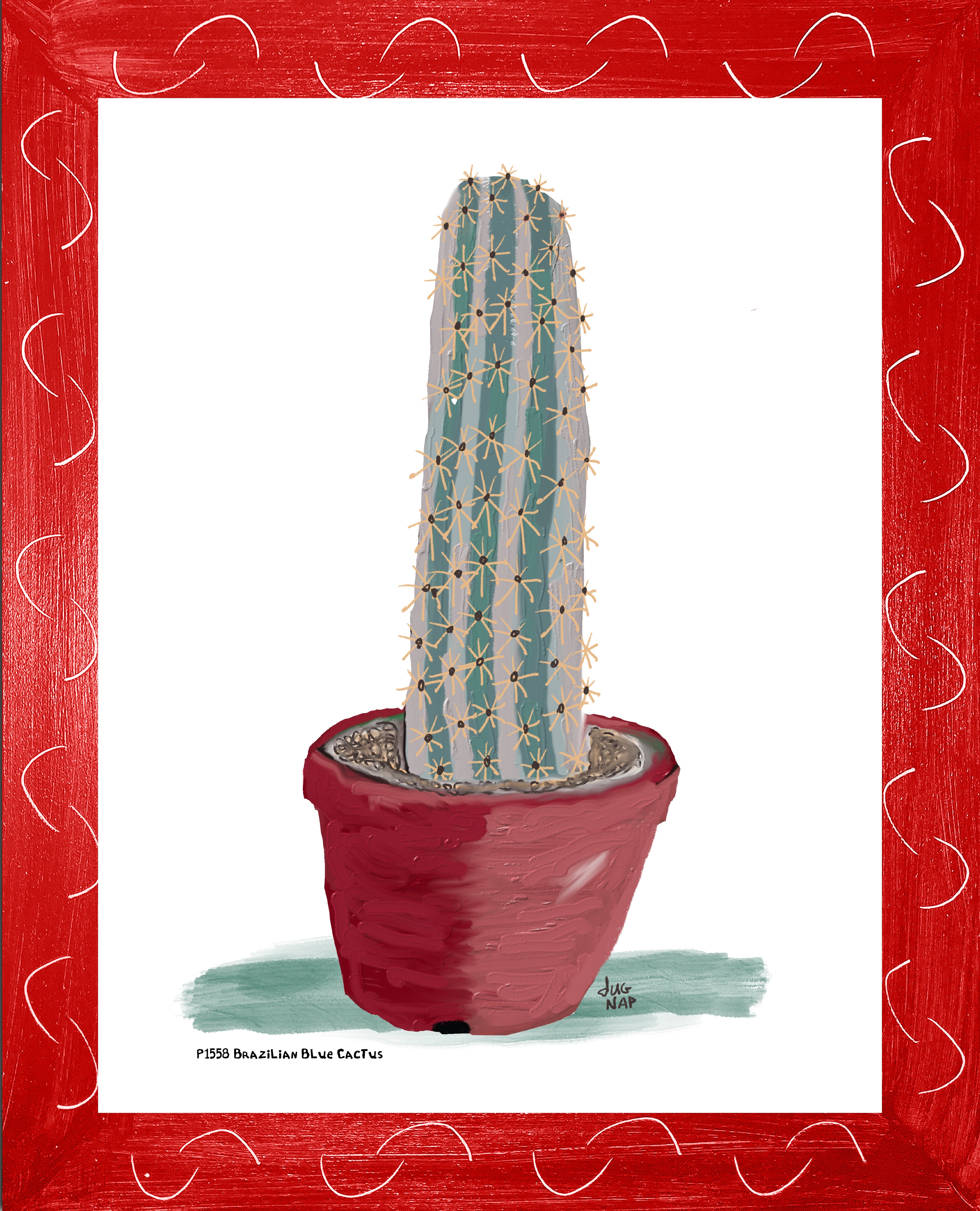 P1558 Brazilian Blue Cactus