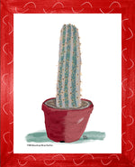 P1558 Brazilian Blue Cactus