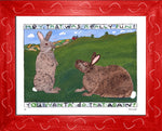 p611 Rabbits