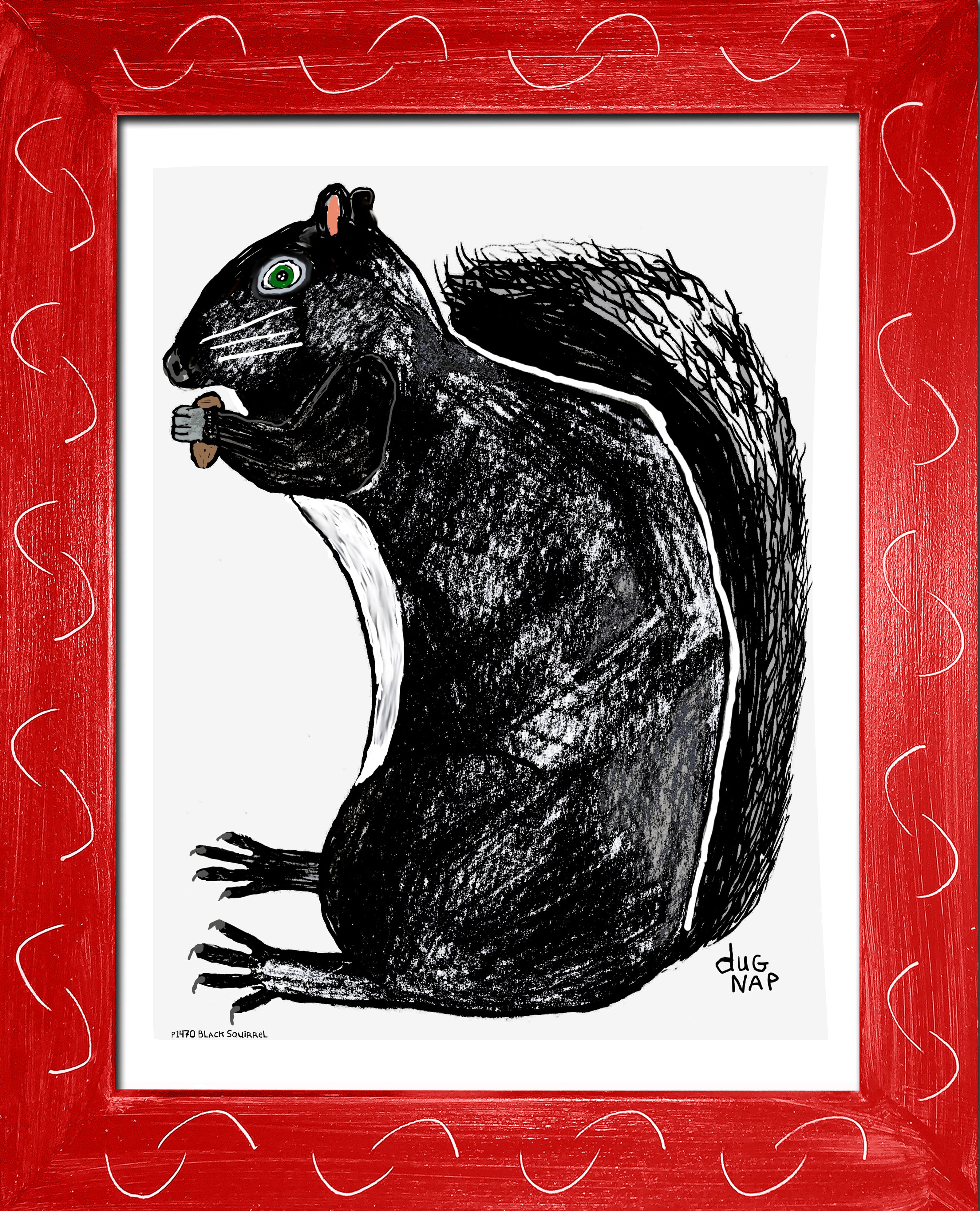 p1470 Black Squirrel