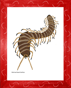 P1562 Giant Desert Centipede