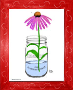 p1458 Coneflower In A Jar