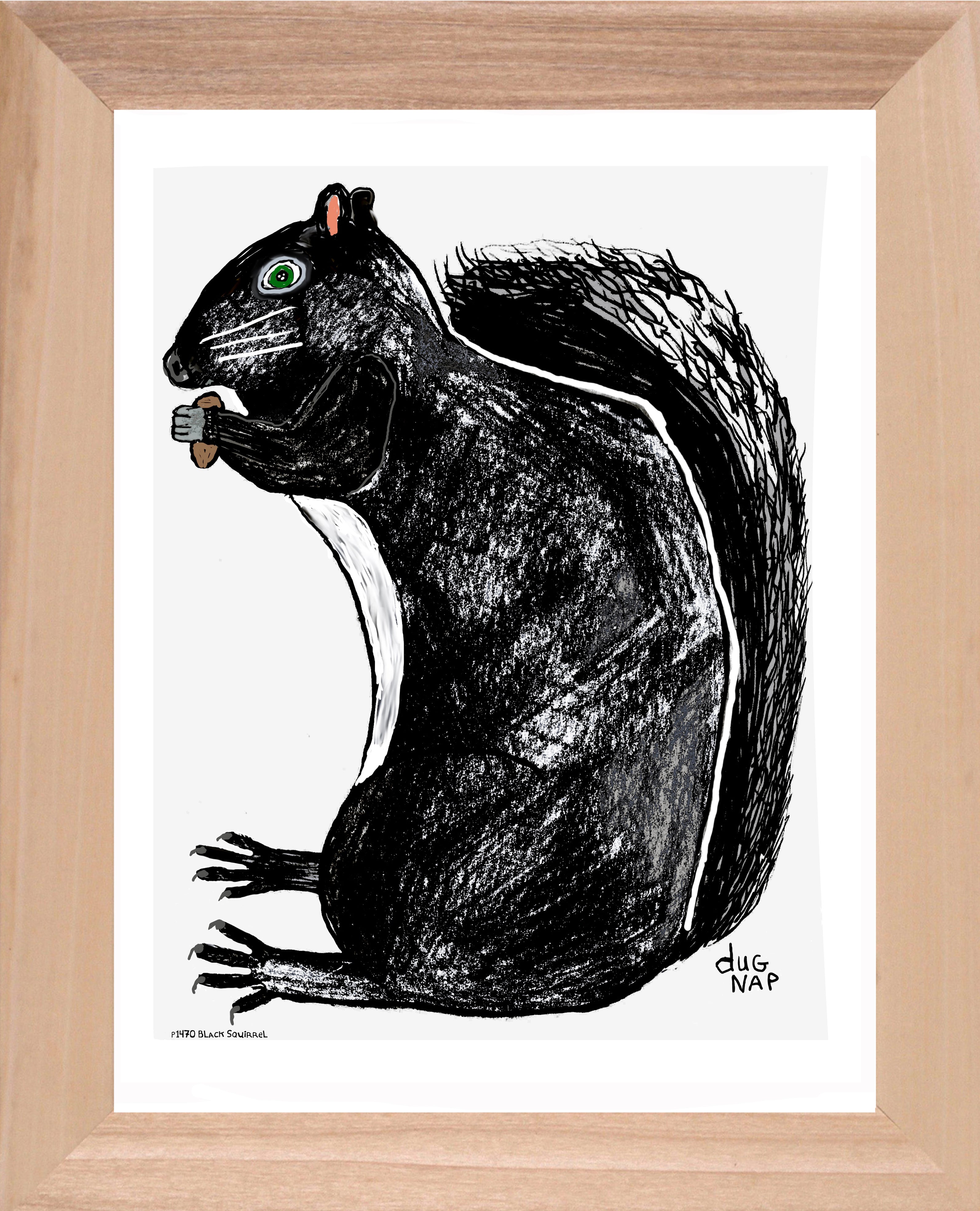 p1470 Black Squirrel