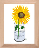 p1454 Sunflower In A Jar