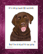 P1578 Glad Chocolate Lab