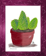 P1557 Bunny Ear Cactus