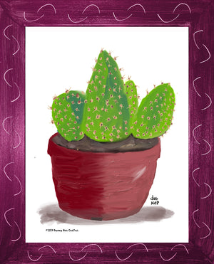 P1557 Bunny Ear Cactus