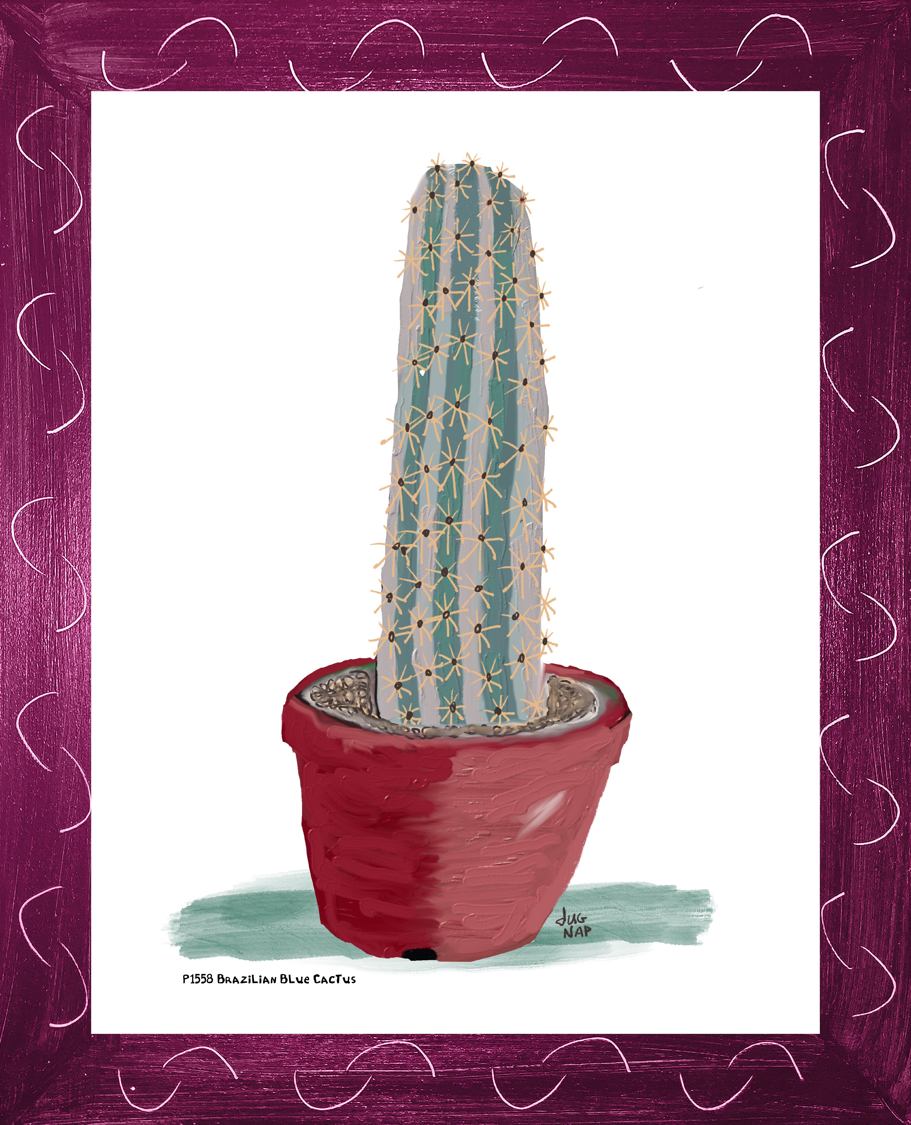 P1558 Brazilian Blue Cactus