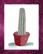 P1558 Brazilian Blue Cactus