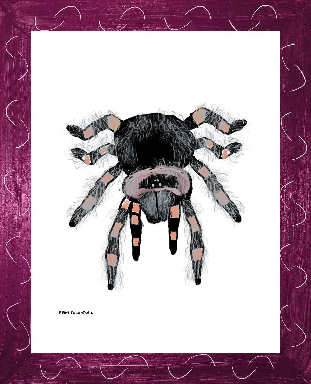 P1563 Tarantula