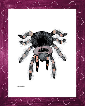 P1563 Tarantula