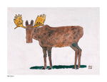 p961 Moose