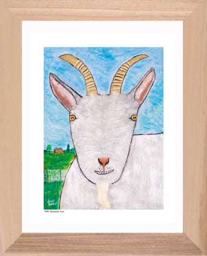 p979 Snickering Goat