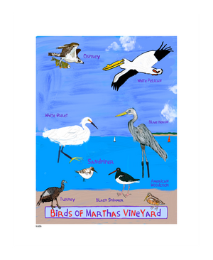 P1208 - Birds of Martha's Vineyard