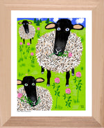 P1144 Sheep in the Clover