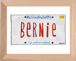 P896 - MA Plate Bernie