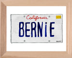 P901 - CA Bernie Plate