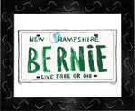 P903 - NH Bernie Plate - dug Nap Art