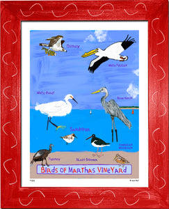 P1208 - Birds of Martha's Vineyard
